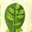 Voordeel: Ecologische voetafdruk